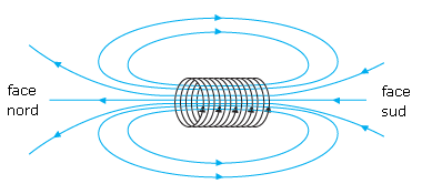Boîte à Limaille De Fer Pour Expériences De Champ Magnétique – Instrument Pédagogique Sciences Physique