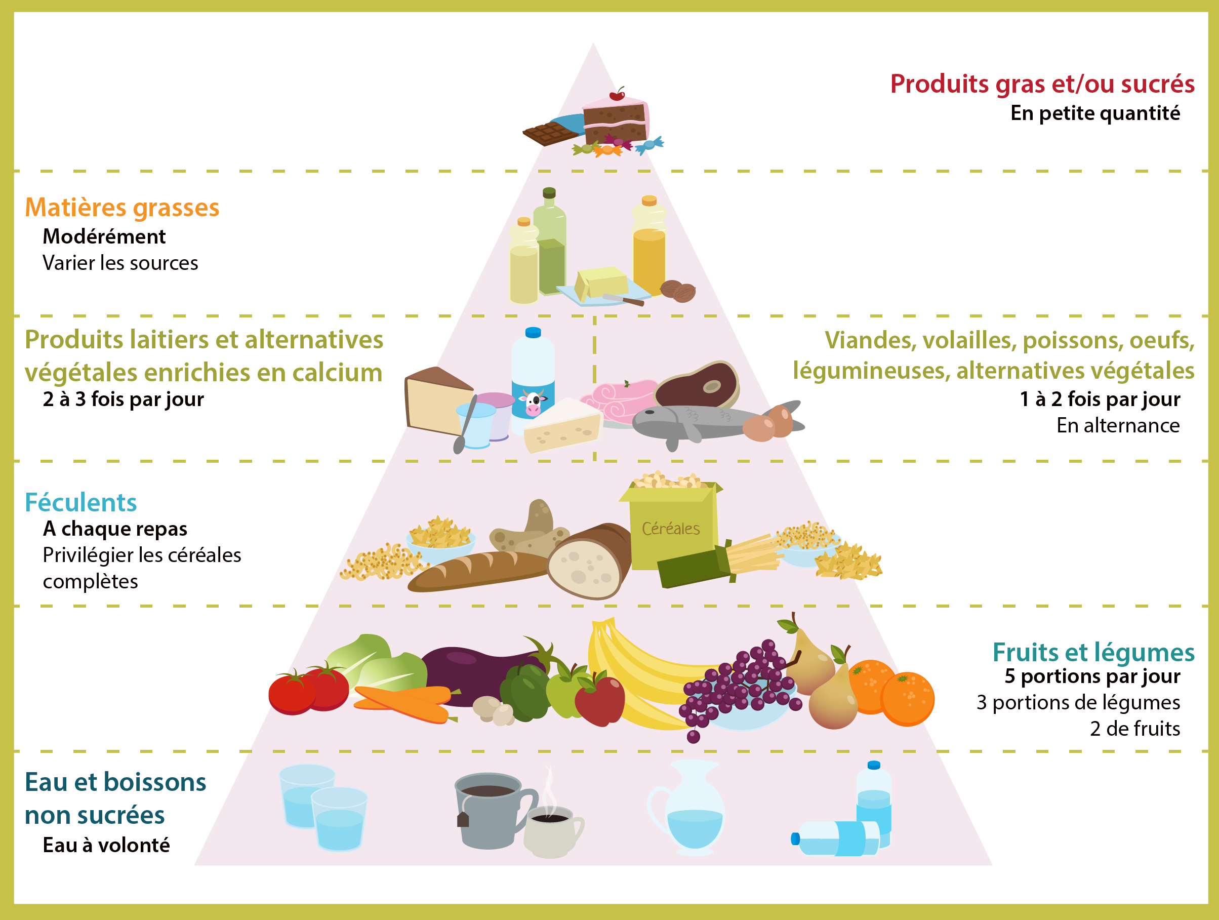 Les Apports Alimentaires Qualit Et Quantit MyMaxicours Les Apports Alimentaires Qualit Et Quantit MyMaxicours