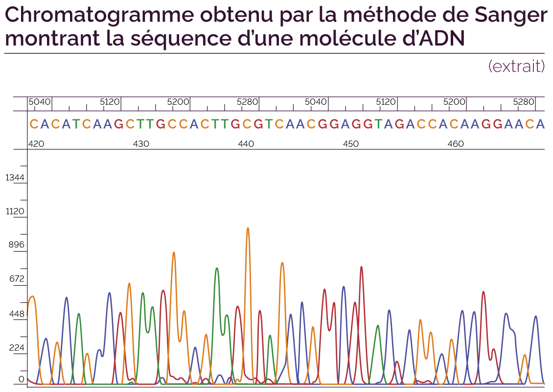 Le S quen age De L ADN Et La Connaissance Du G notype Et Du Ph notype D Le S quen age De L ADN Et La Connaissance Du G notype Et Du Ph notype D