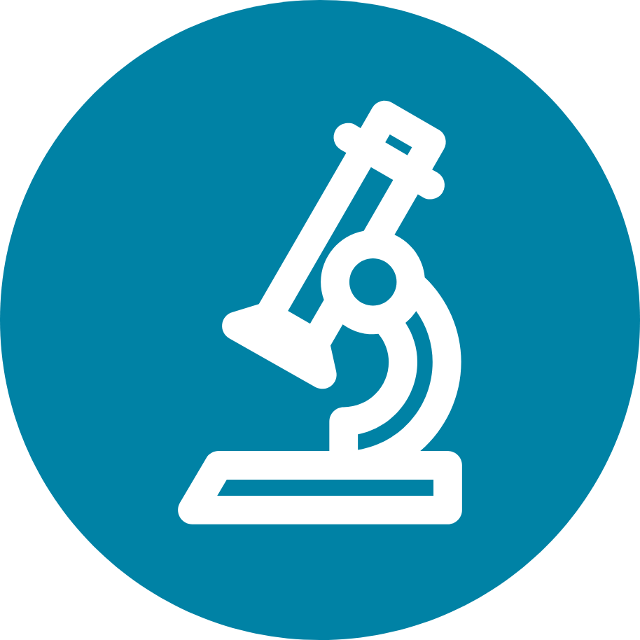 Sciences et technologie CM1  SVT CM1  Physiquechimie CM1  Cours et